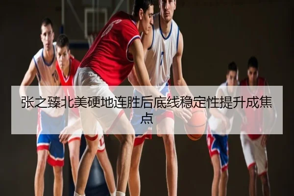 张之臻北美硬地连胜后底线稳定性提升成焦点