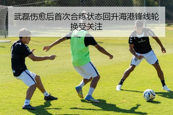 武磊伤愈后首次合练状态回升海港锋线轮换受关注