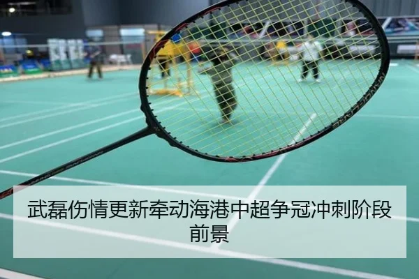 武磊伤情更新牵动海港中超争冠冲刺阶段前景