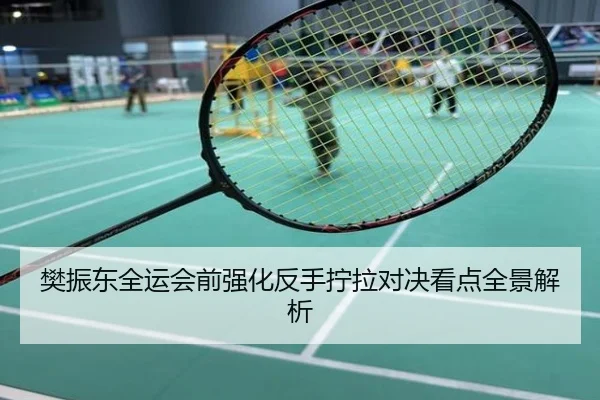 樊振东全运会前强化反手拧拉对决看点全景解析